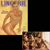 Playboy's Book of Lingerie